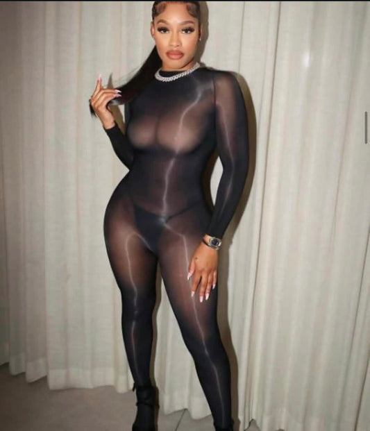 Sheer mesh full body suit