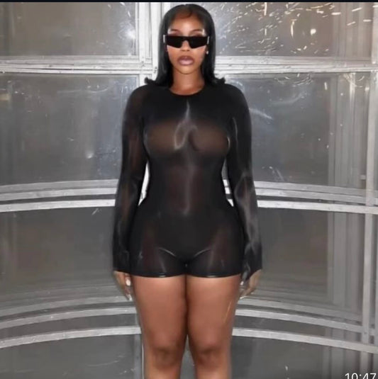 Sheer mesh half body suit